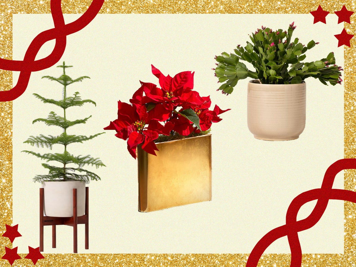 Fake Xmas Flowers 24 Christmas Fake Flowers Simulation Flower