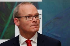 Brexit ‘not something to celebrate’, says Ireland’s foreign minister