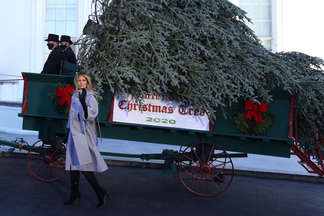 Melania Trump poses with the White House Christmas tree 
