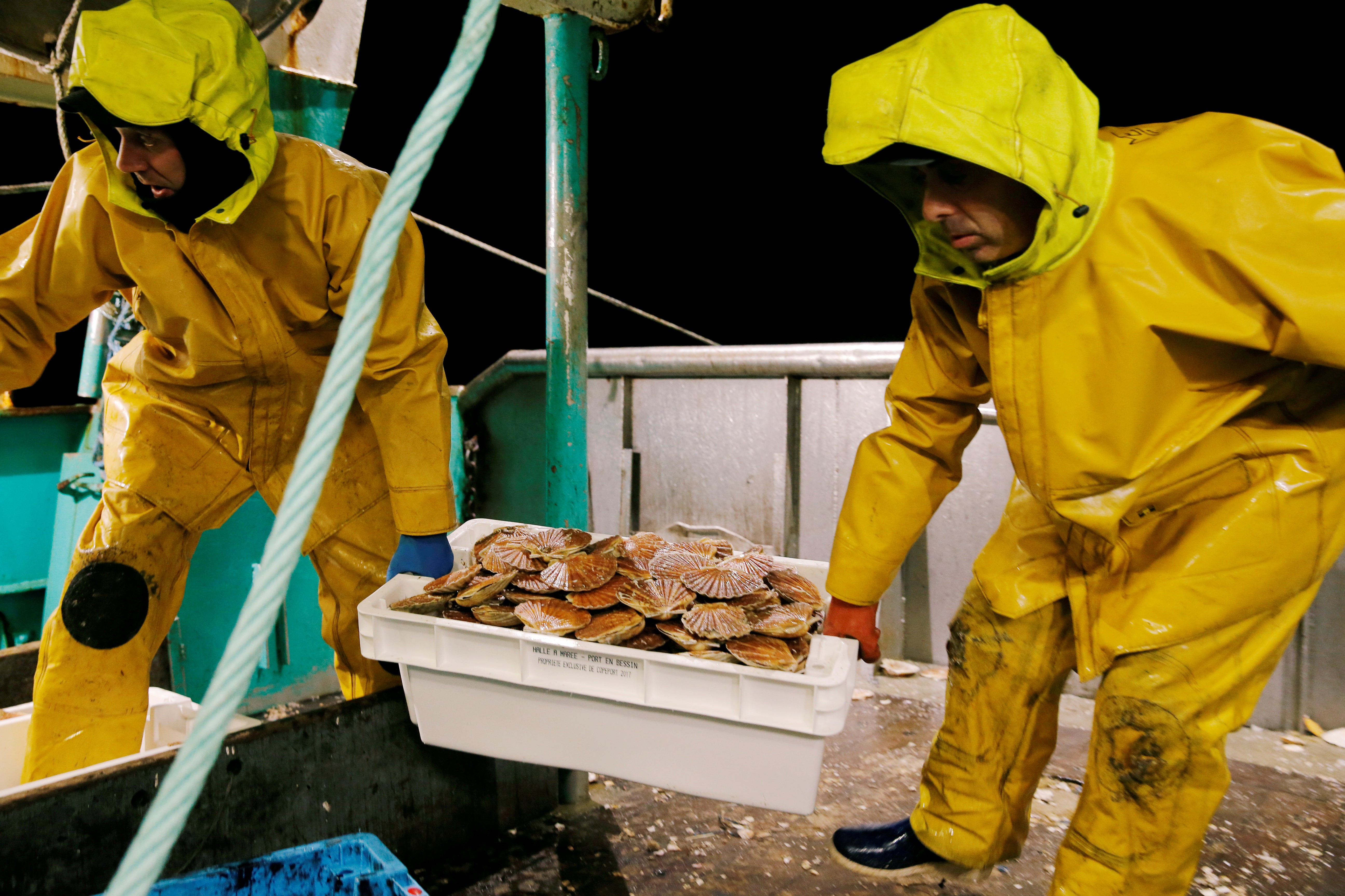 Fishermen carry a box of scallops on-board a trawler off the French coast on 1 October, 2018.