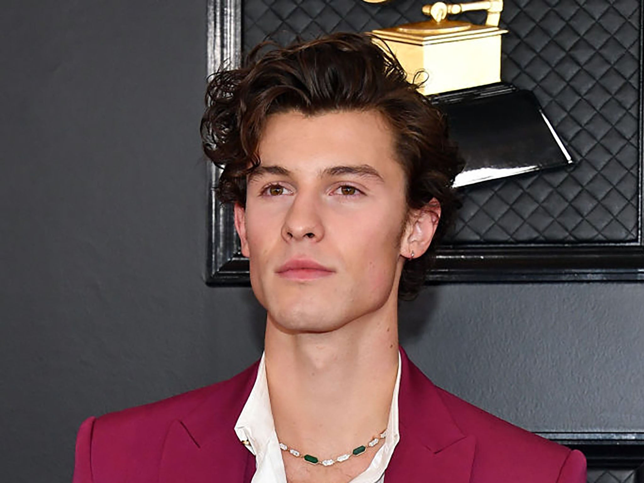 Shawn Mendes Chops Off His Signature Locks, Debuts New Short Hairstyle