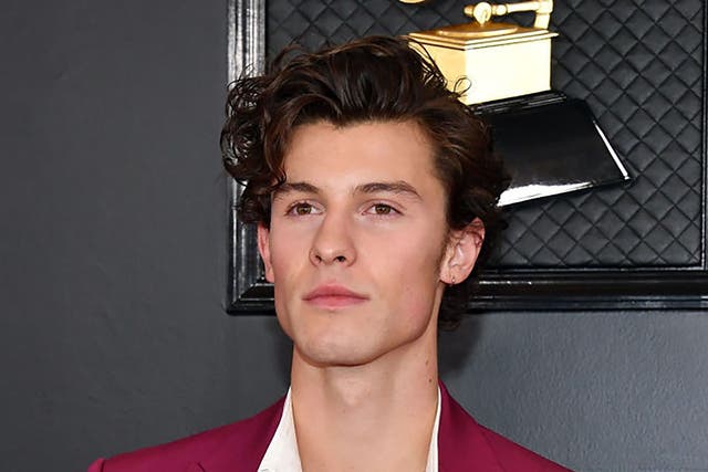 Shawn Mendes at the Grammys in January