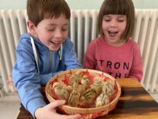 Children hatch 12 chicks from box of M&S quail eggs