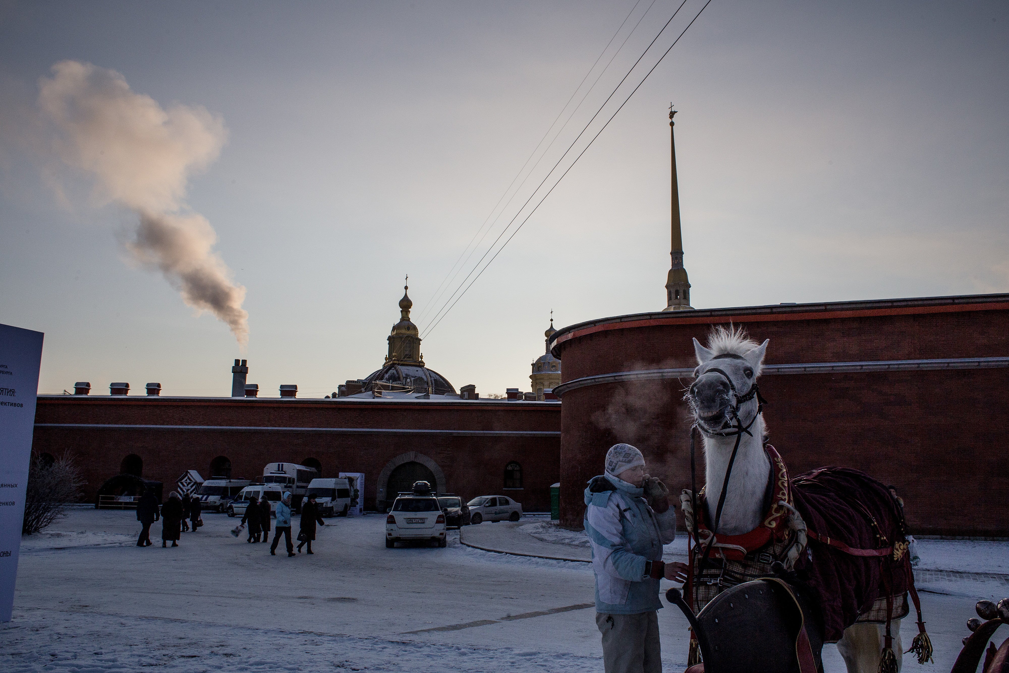 Horses are not unusual in St Petersburg