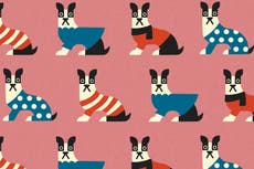 10 best dog coats to keep your pet warm and dry