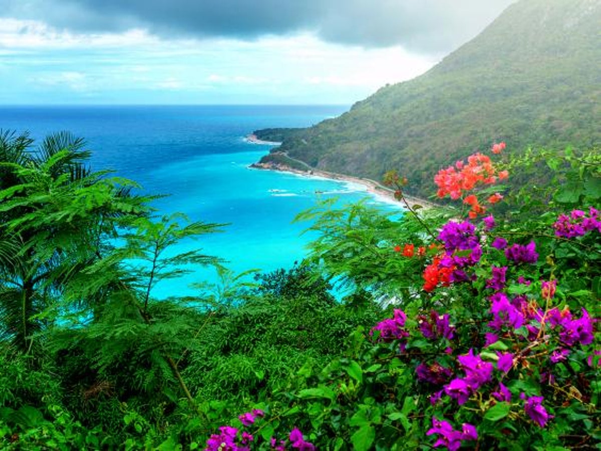 Dominican Republic Lifts All Travel Restrictions The Independent