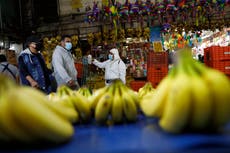 Mexico approves emergency use of Pfizer coronavirus vaccine