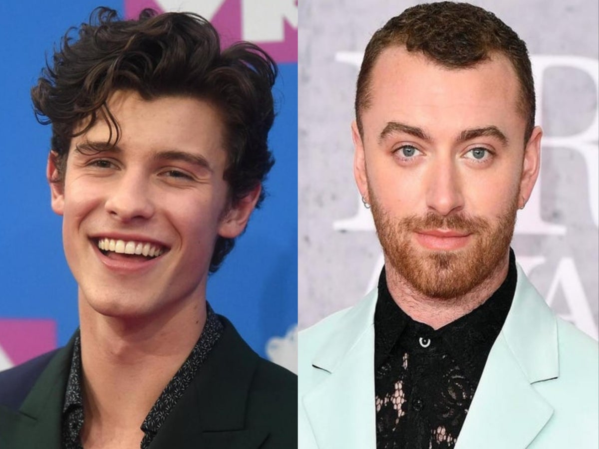Shawn Mendes Apologises To Sam Smith After Using Incorrect Pronoun We Re All Learning The Independent