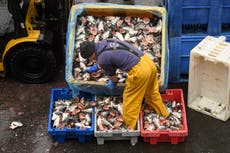 Why are fishing rights so important in Brexit trade talks?