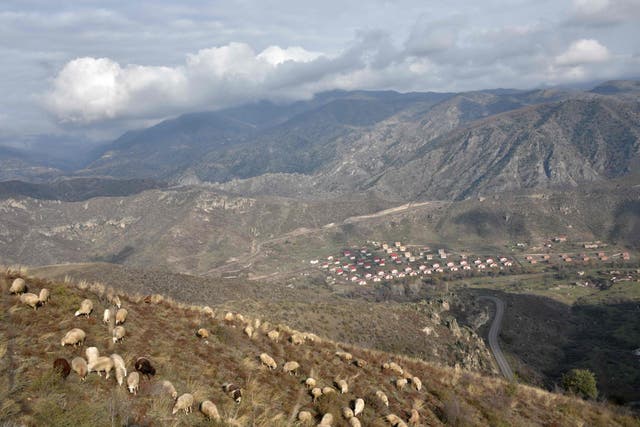 <p>Sheep graze on the outskirts of the village of Aghavno in the Lachin district of Nagorno-Karabakh</p>