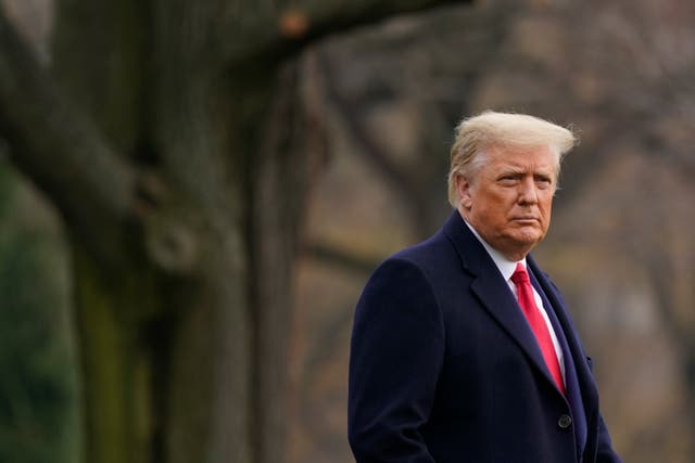 Trump Board Allies