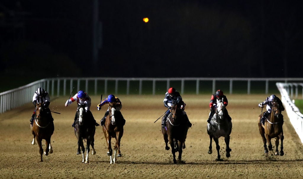 The horse raced to a sixth place finish on debut at Wolverhampton