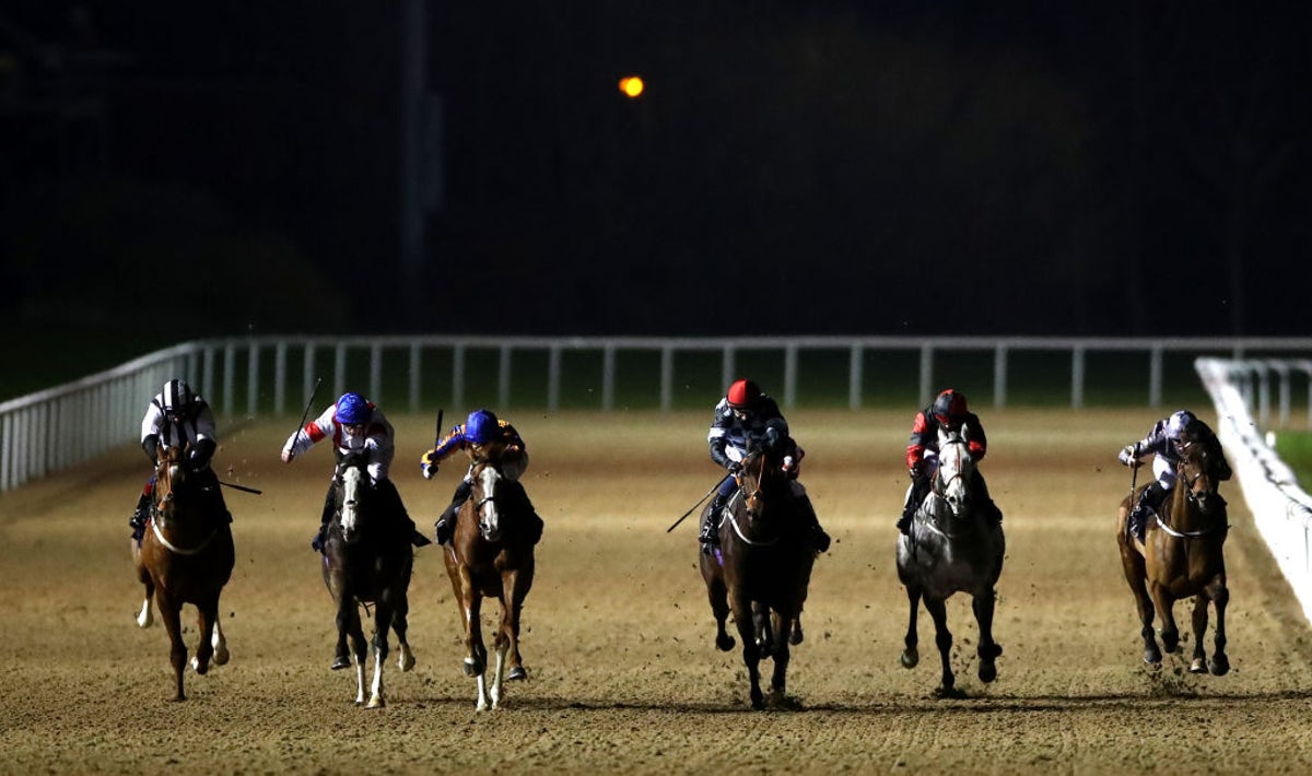 British Horseracing Authority apologise for racist horse name | The  Independent