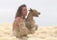 Dog rescued from sea foam as storms batter Australia’s east coast