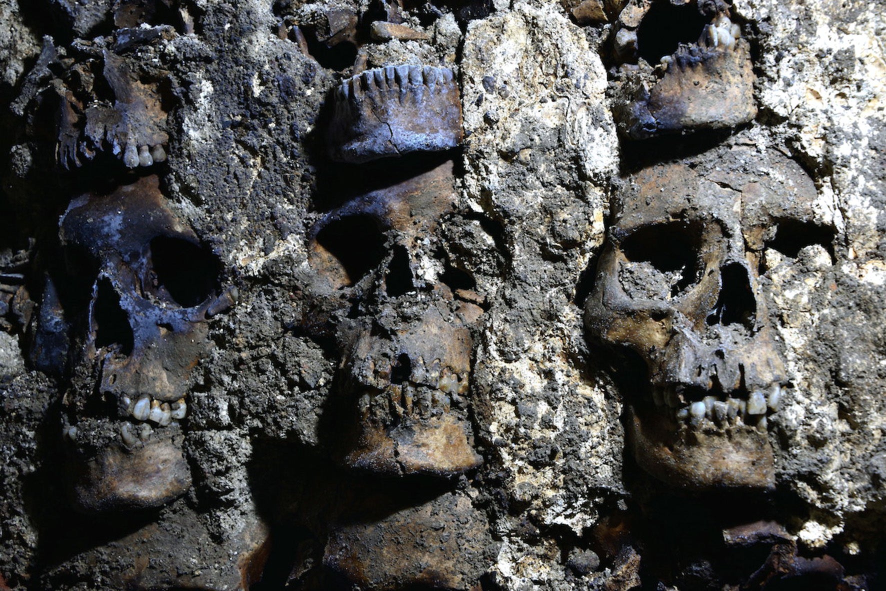 Three skulls are shown in a recently discovered section of the Huei Tzompantli in Mexico City