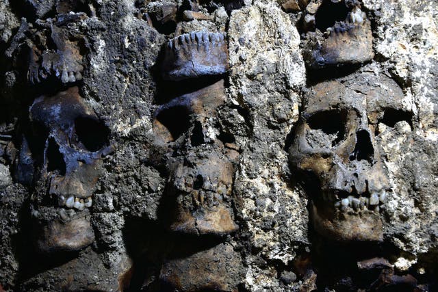 <p>Three skulls are shown in a recently discovered section of the Huei Tzompantli in Mexico City</p>
