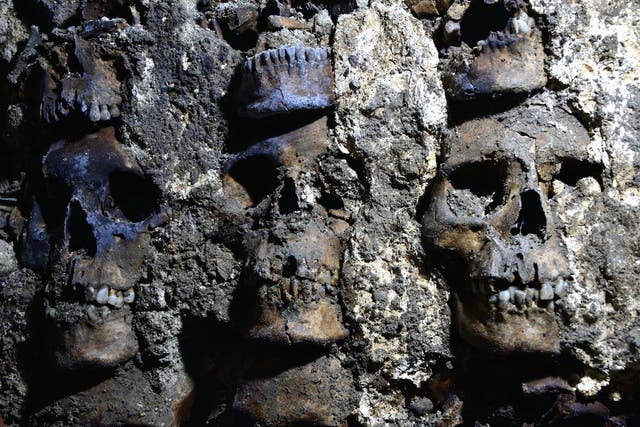 <p>Se muestran tres cráneos en una sección recientemente descubierta de la torre de cráneos en la Ciudad de México el pasado 22 de septiembre de 2020.</p>