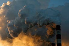 World faces crisis without green recovery after Covid, says UN