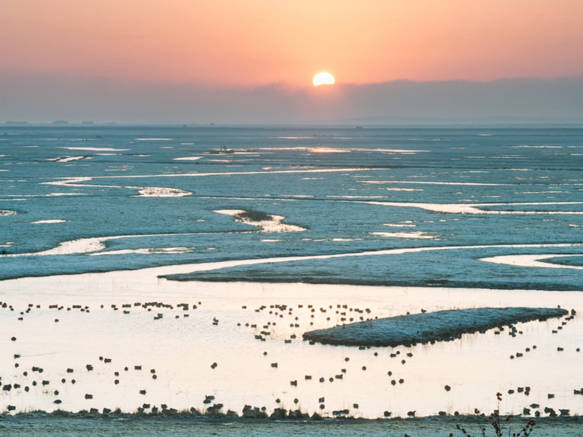 Exploring Kent’s wild side on the Isle of Sheppey