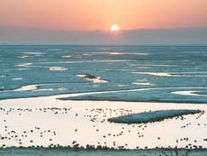 Exploring Kent’s wild side on the Isle of Sheppey