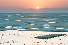 Exploring Kent’s wild side on the Isle of Sheppey