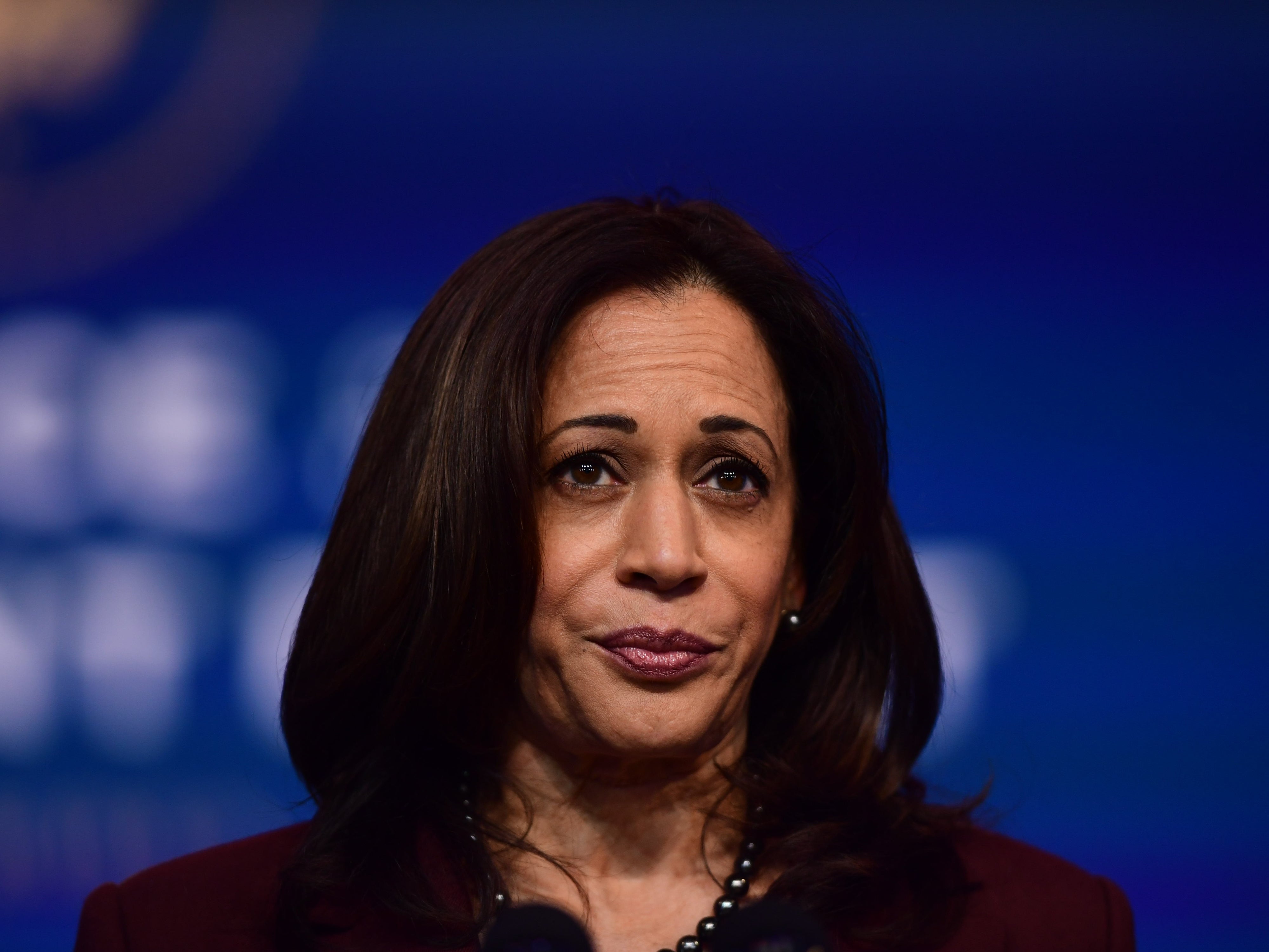 Vice President-elect Kamala Harris called for ‘common-sense’ gun reforms on the eighth anniversary of the Sandy Hook mass shooting