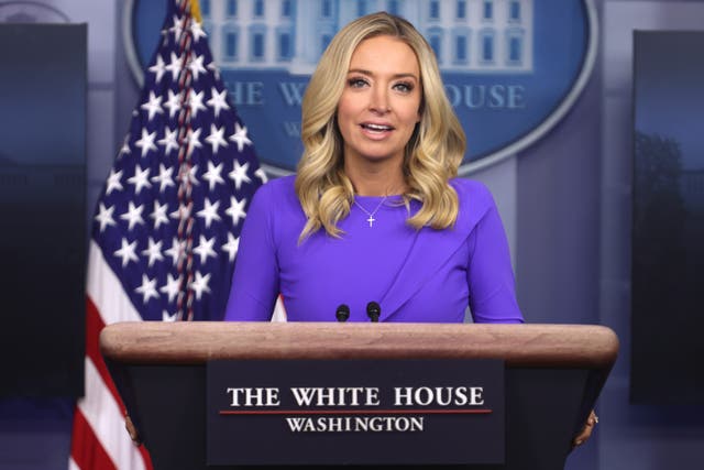 <p>Kayleigh McEnany has been White House press secretary since April</p>