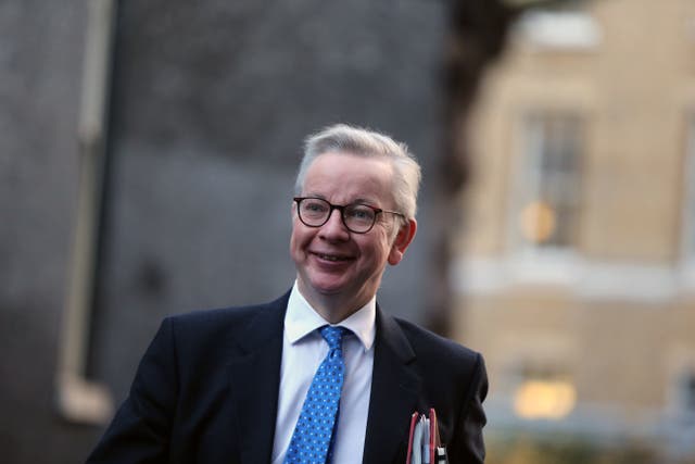 <p>Michael Gove, the minister for making things run smoothly after we leave the EU single market</p>