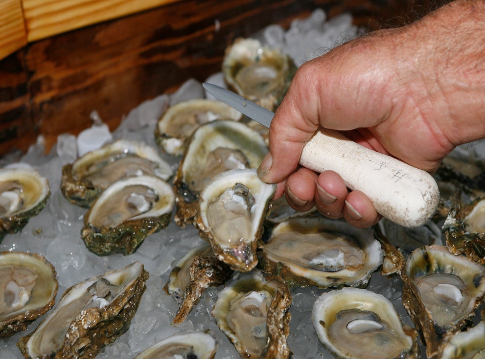 Florida might shut down bay known nationally for its oysters oysters