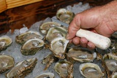 Fears for future of shellfish firms over Brexit export ban