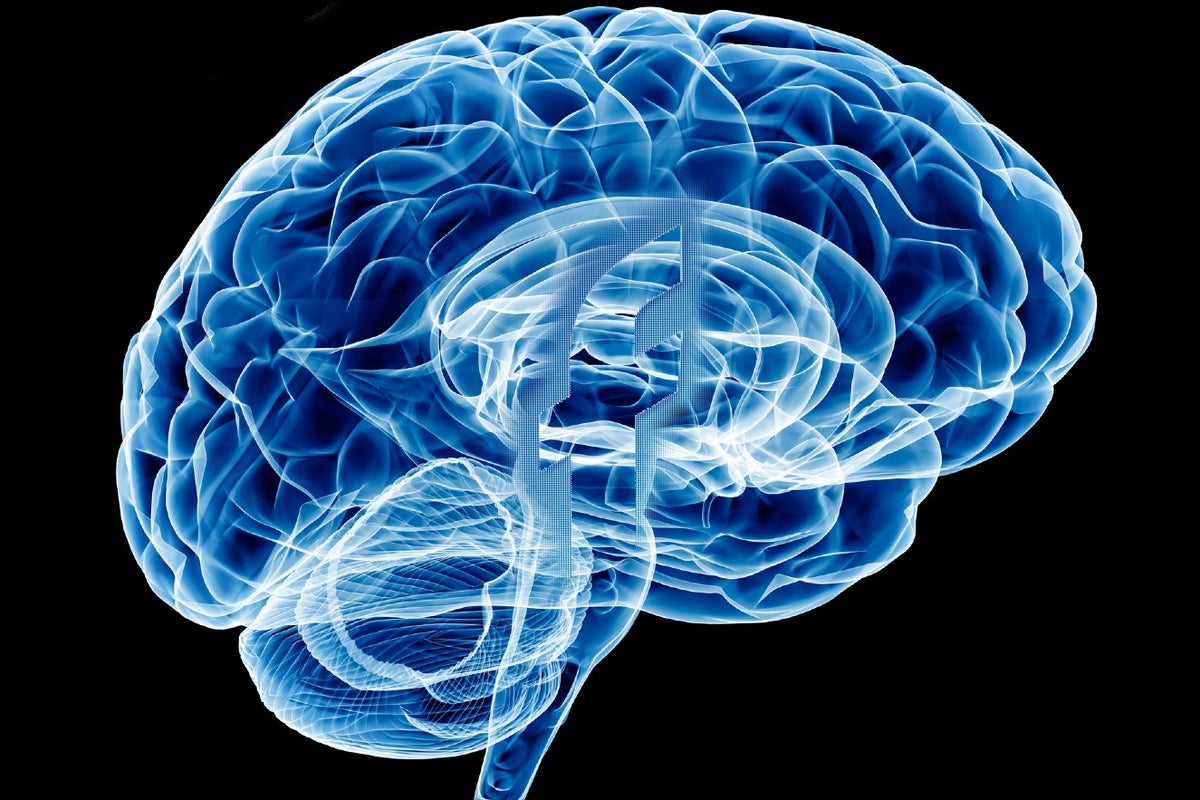 New brain-computer interface transmits thoughts to words in record time ...