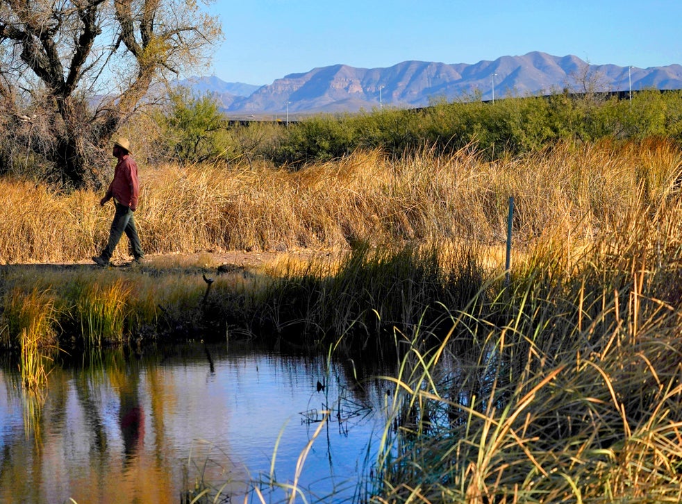 Damage from border wall blownup mountains, toppled cactus Mountains