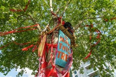 ‘Tree of the Year’ to be felled and protesters will face jail