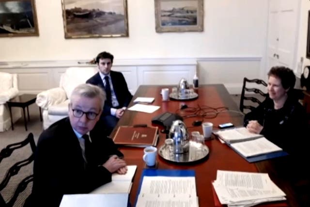 Michael Gove gives evidence to a parliamentary committee by video link