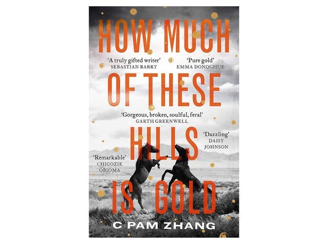 how-much-of-these-hills-is-gold-by-c-pam-zhang-booker-prize-indybest.jpg