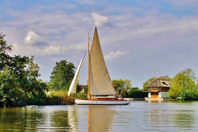 The group of friends had hired a boat and were sailing along the River Bure in Norfolk