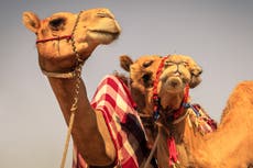 New Unesco intangible cultural heritage list revealed