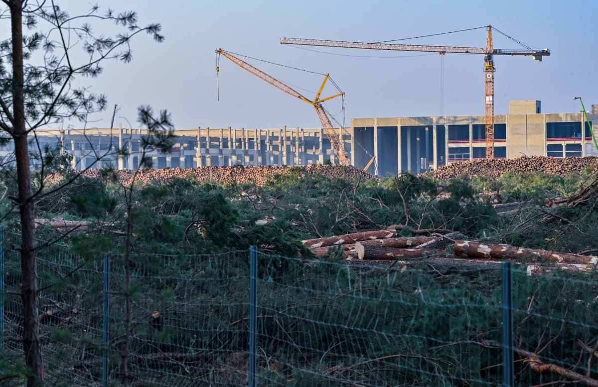 German court upholds tree-felling ban at Tesla plant site