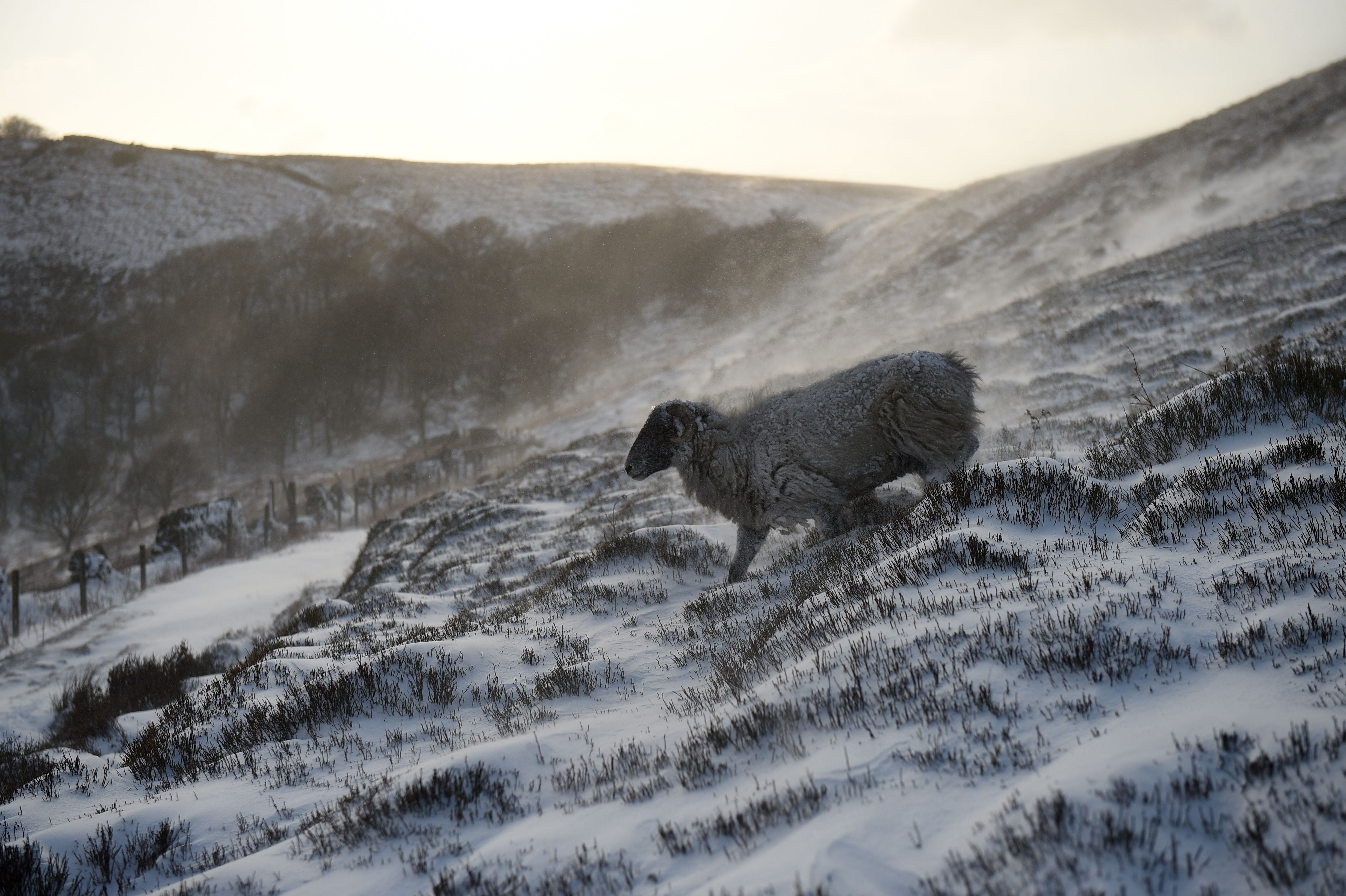 There may be snow in areas of the Pennines, Peak District and Snowdonia