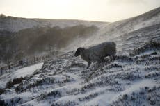 UK set for frosty Christmas