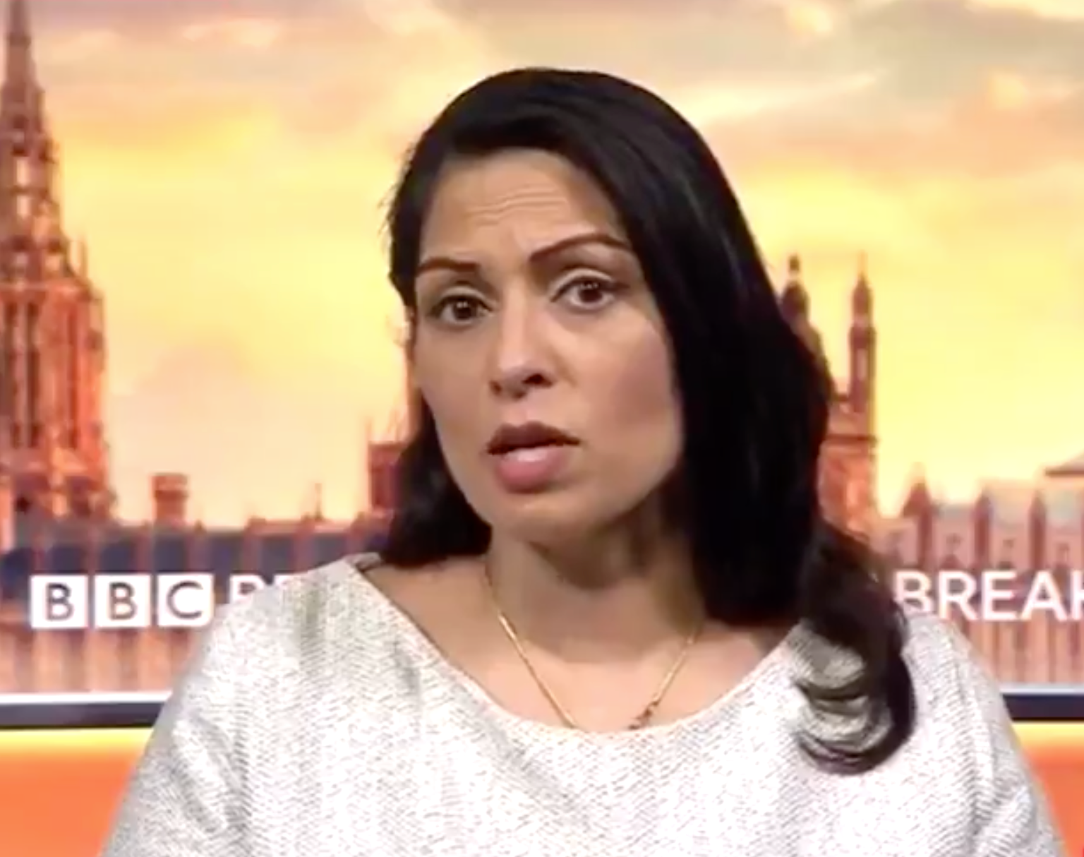 The home secretary, Priti Patel, on BBC Breakfast