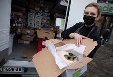 Brits in Brussels get lucky with their Christmas turkeys