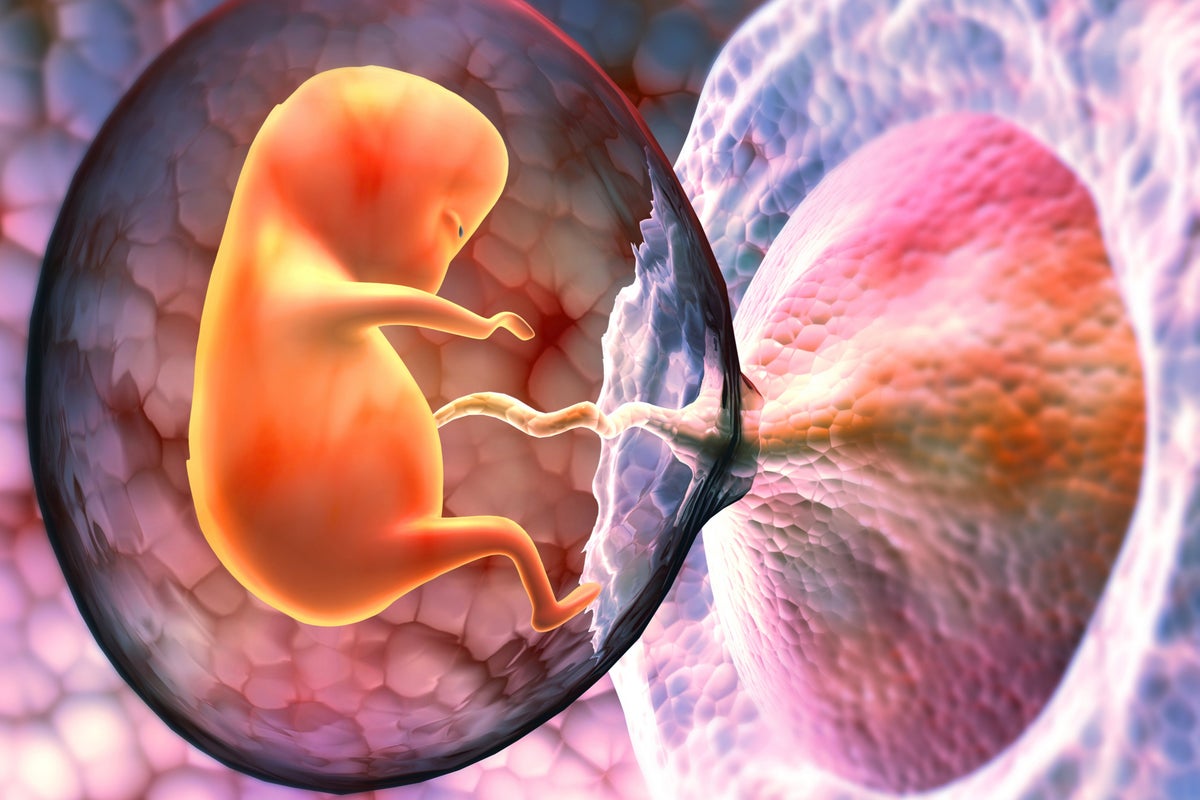Study reveals fresh insight into when foetuses start to feel pain