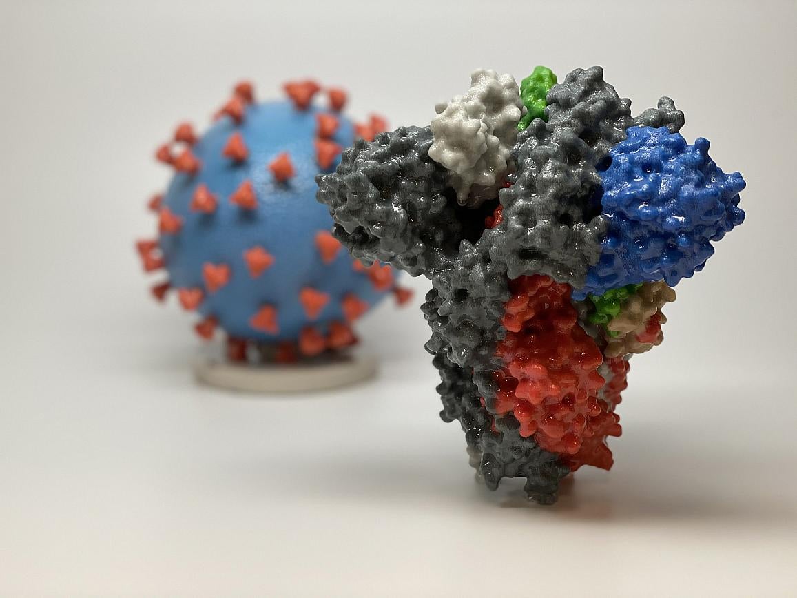 <p>3D print of a spike protein of SARS-CoV-2 virus</p>
