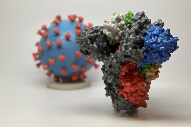 <p>3D print of a spike protein of SARS-CoV-2 virus</p>