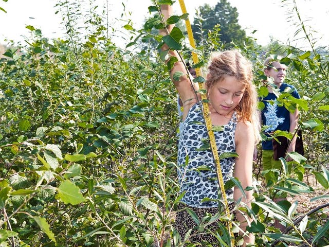 <p>Children help plant saplings in Witney at the site of the UK’s first Tiny Forest</p>