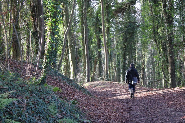 Laurie Lee Wildlife Way follows the peaks and troughs of Slad Valley