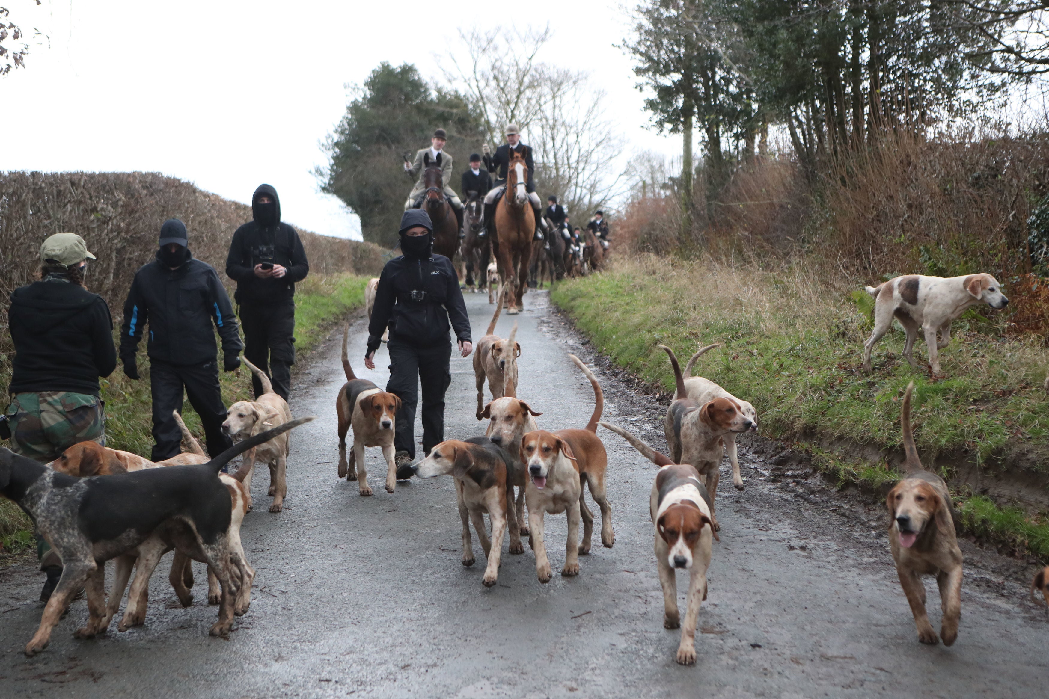 Hunt saboteurs walk with the dog pack from a Boxing Day Hunt near Husthwaite, North Yorkshire