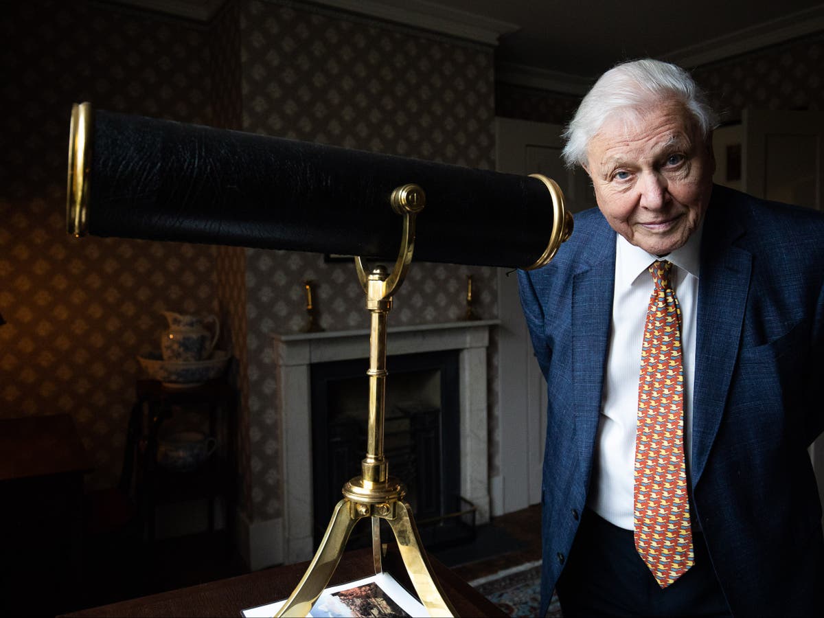 David Attenborough says his days of travelling overseas to film documentaries may be over