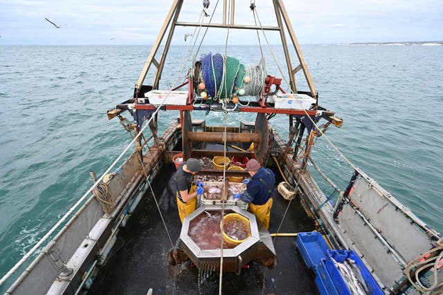 Newhaven fishing boat skipper Neil Whitney and deckhand Nathan Harman sort fish aboard the Newhaven fishing boat ‘About Time’ after the first trawl of the day, off the south-east coast of England